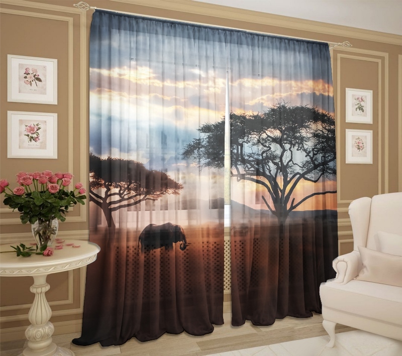 Слон в степи слон в степи