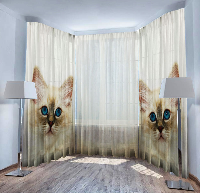 Белый кот белый кот