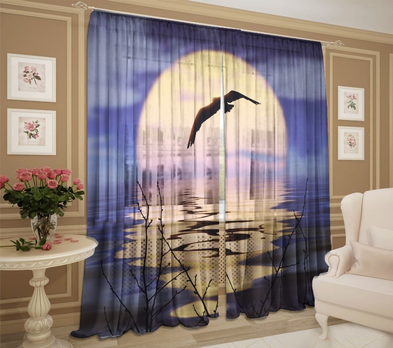 ночной полет