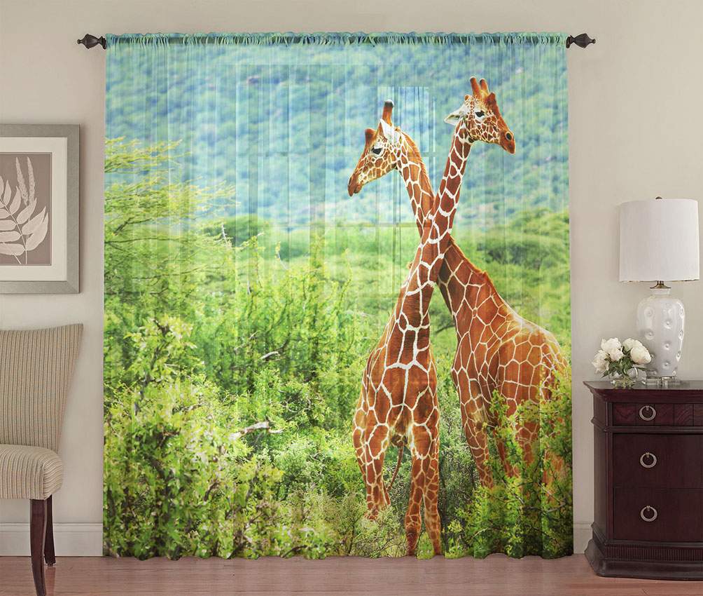 Жирафы жирафы