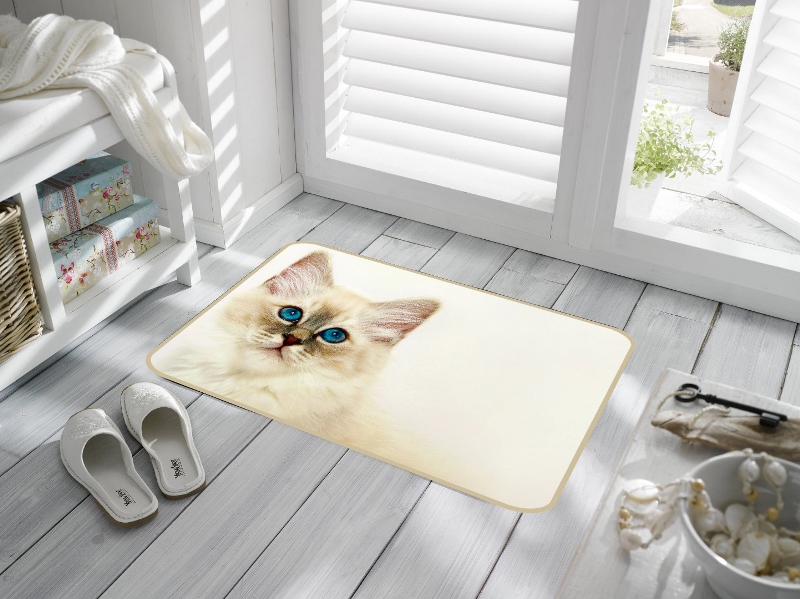 Белый кот белый кот