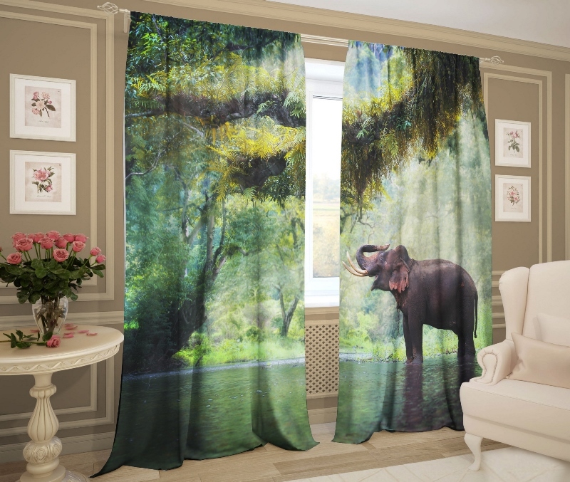 индийский слон