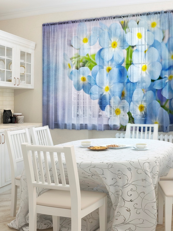 голубой жасмин