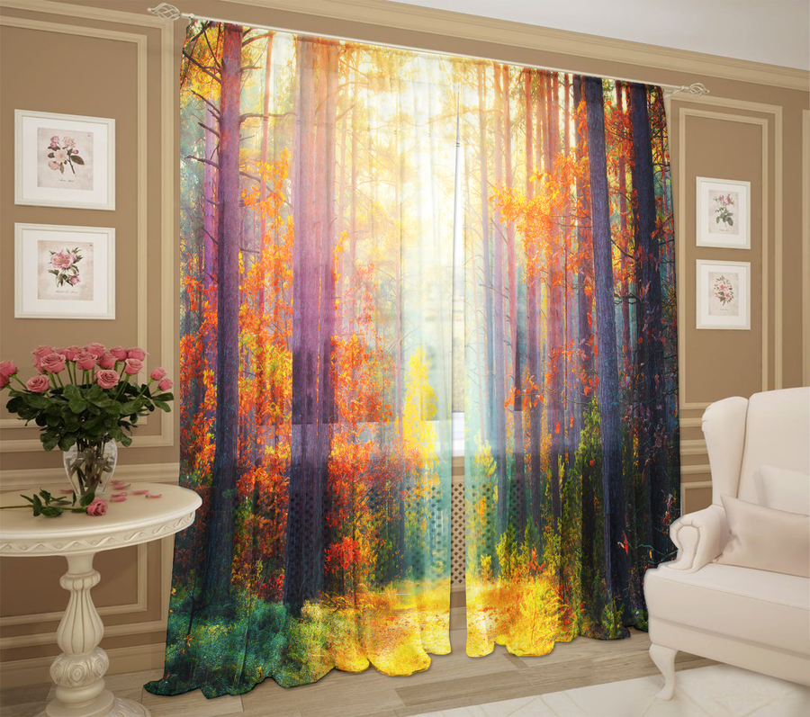 Лесная дымка лесная дымка