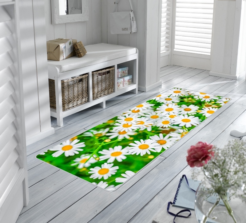 ромашковое поле