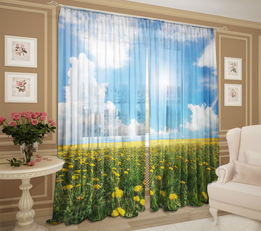 Желтые одуванчики желтые одуванчики