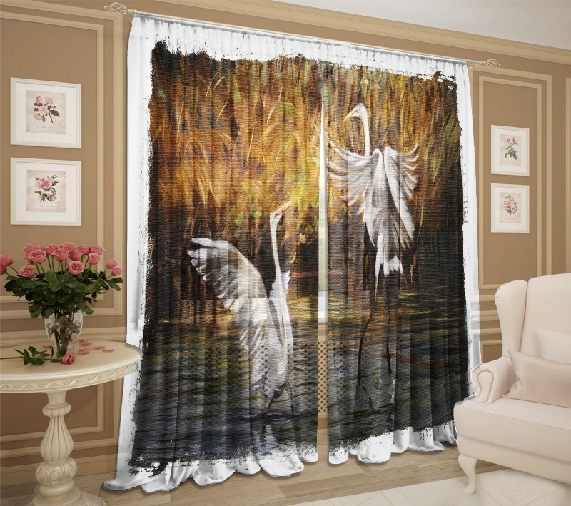 Белые птицы белые птицы