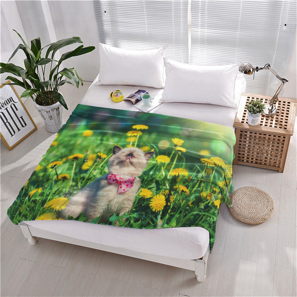 милый котик