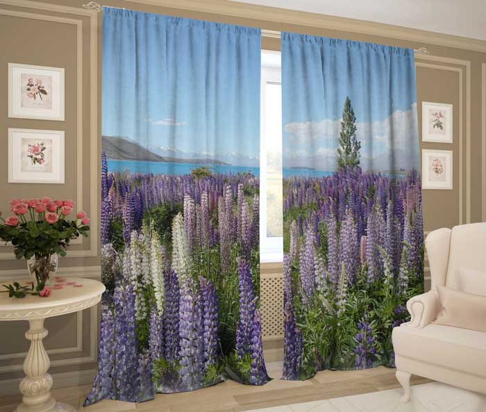 Люпины люпины