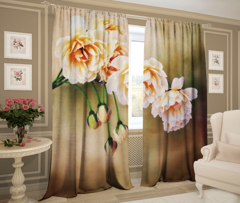 заблуждение роз